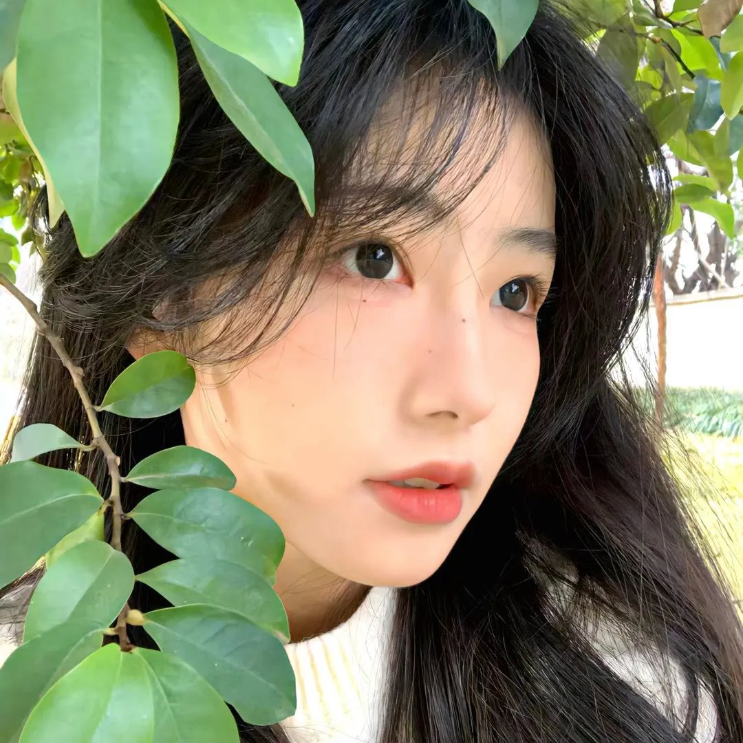 今生缘未了